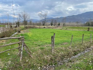 Düzce  Satılık  Arsa