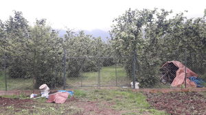 Düzce  Satılık  Arsa