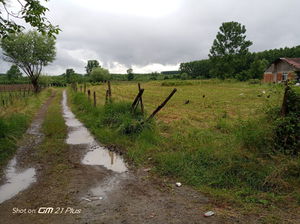 Düzce  Satılık  Arazi