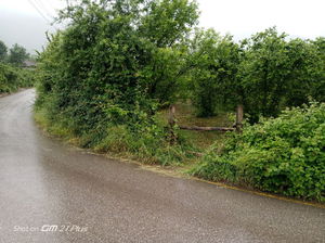 Düzce  Satılık  Arsa