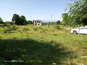 Düzce  Satılık  Arsa