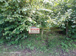 Düzce  Satılık  Arsa