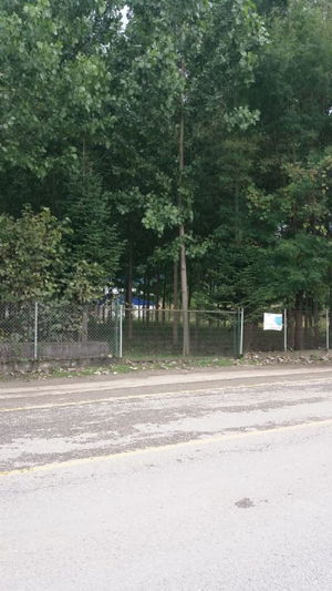 Düzce  Satılık  Arazi