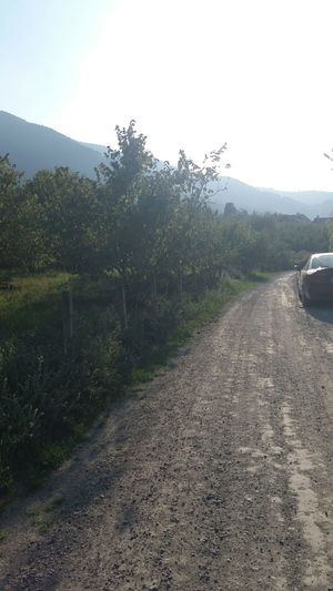 Düzce  Satılık  Arazi