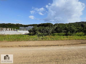 Düzce  Satılık  Arsa