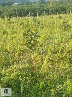 Düzce  Satılık  Arsa