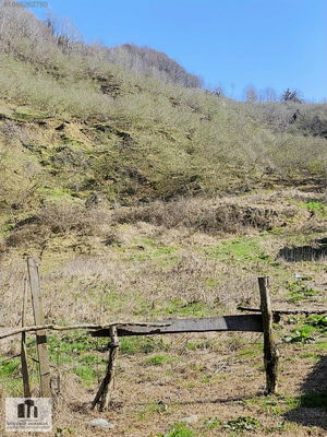 Düzce  Satılık  Arsa