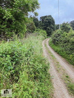 Sakarya  Satılık  Arsa