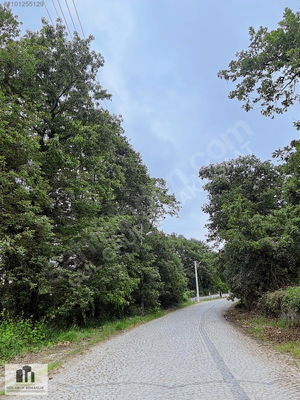 Düzce  Satılık  Arsa