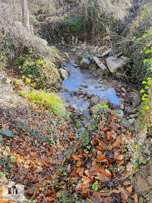 Düzce  Satılık  Arsa