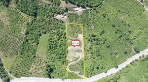 Düzce  Satılık  Arazi