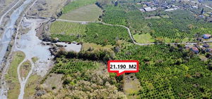 Düzce  Satılık  Tarım Arazisi