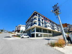 Düzce  Satılık  Daire