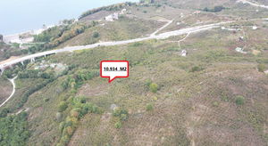 Düzce  Satılık  Tarım Arazisi