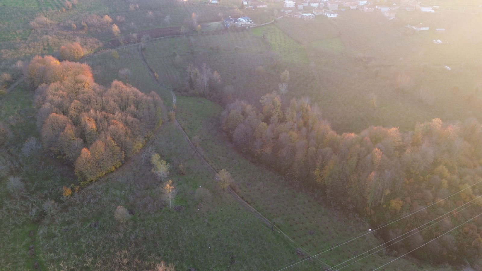 Satılık&nbsp;Fındıklık&nbsp;1,250,000&nbsp;TL