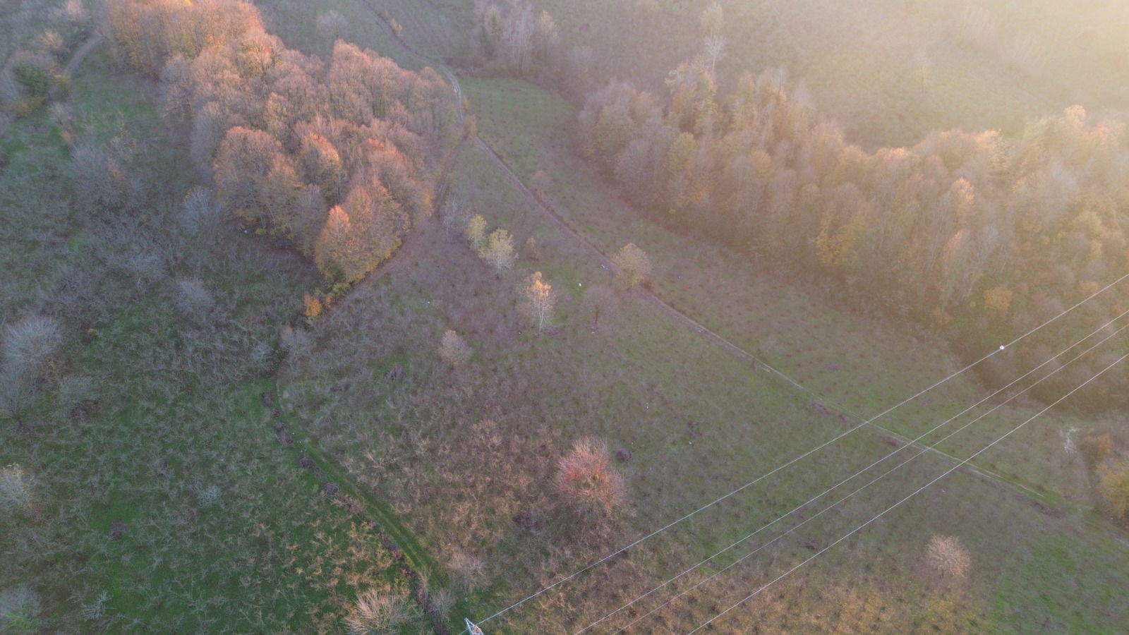 Satılık&nbsp;Fındıklık&nbsp;1,250,000&nbsp;TL