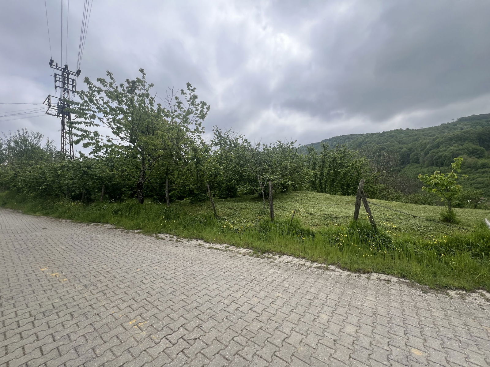 Satılık Fındıklık 7,000,000 TL