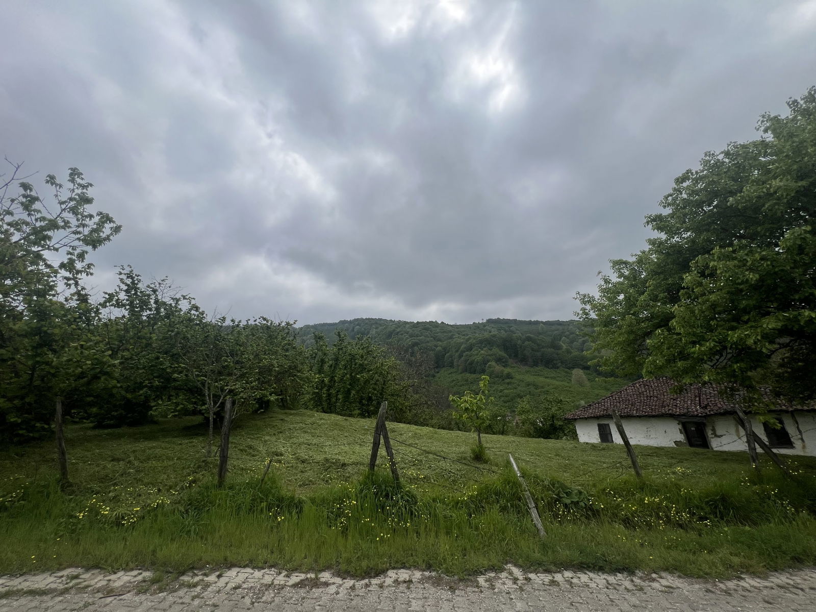 Satılık Fındıklık 7,000,000 TL
