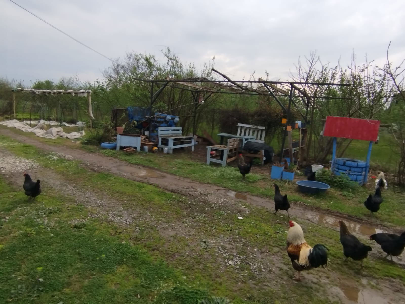 Satılık Arsa 7,500,000 TL