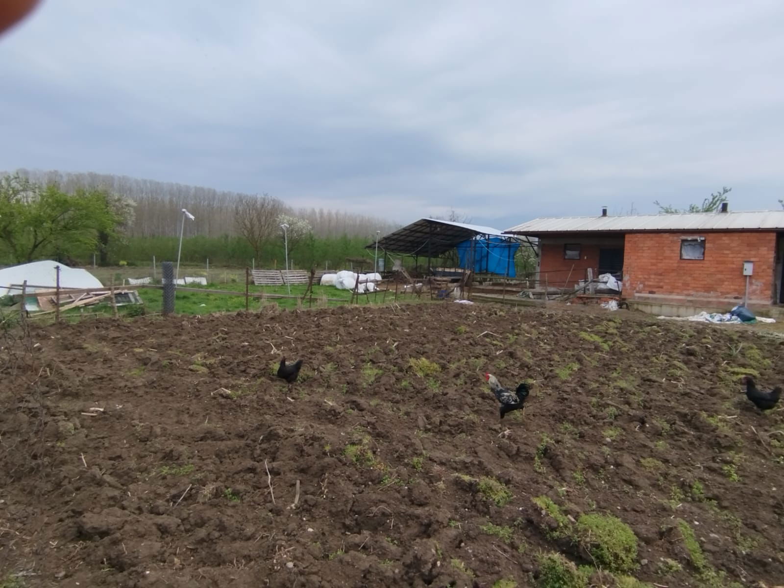 Satılık Arsa 7,500,000 TL