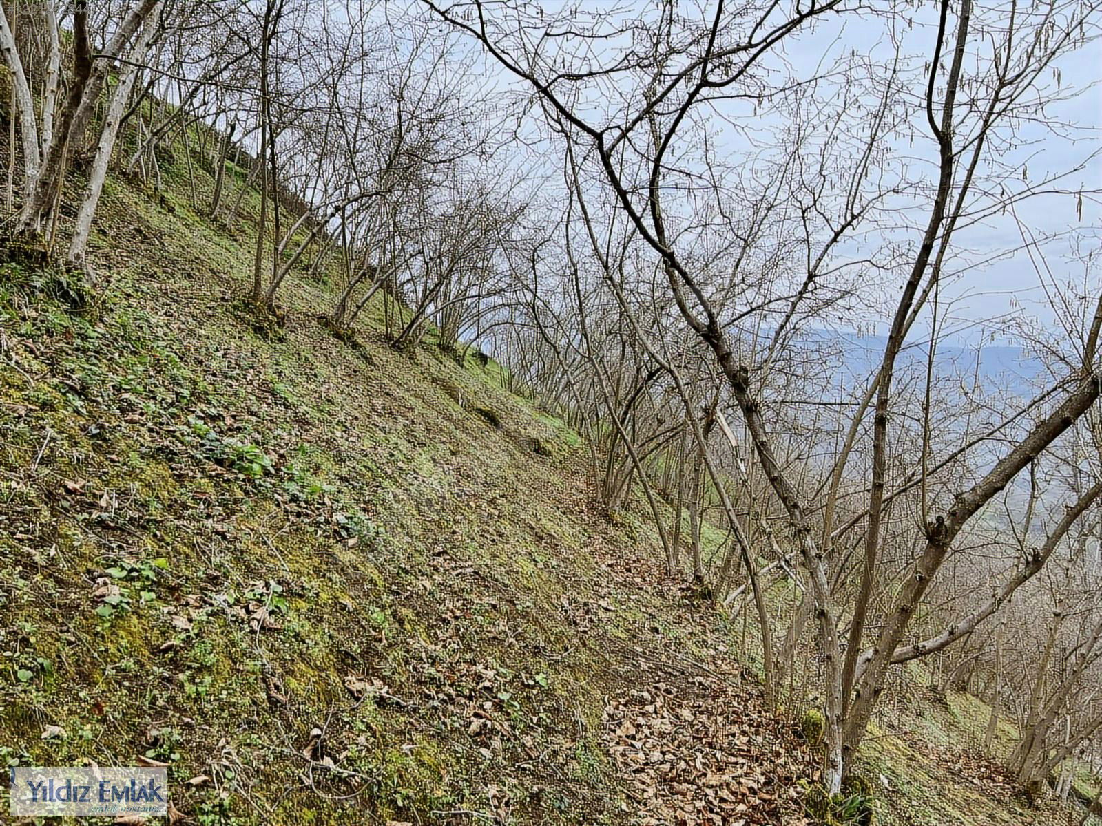 Satılık Arsa 5,000,000 TL