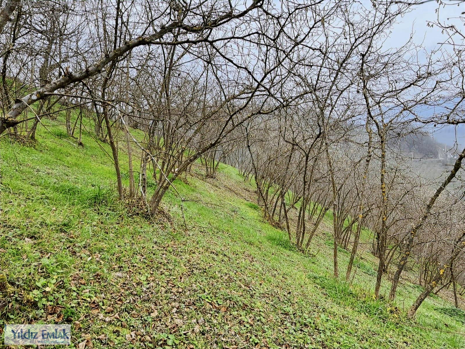 Satılık Arsa 5,000,000 TL