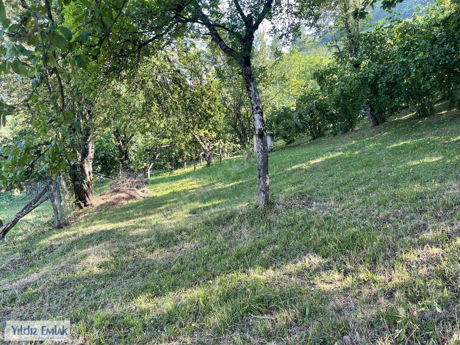 Satılık Arsa 3,750,000 TL
