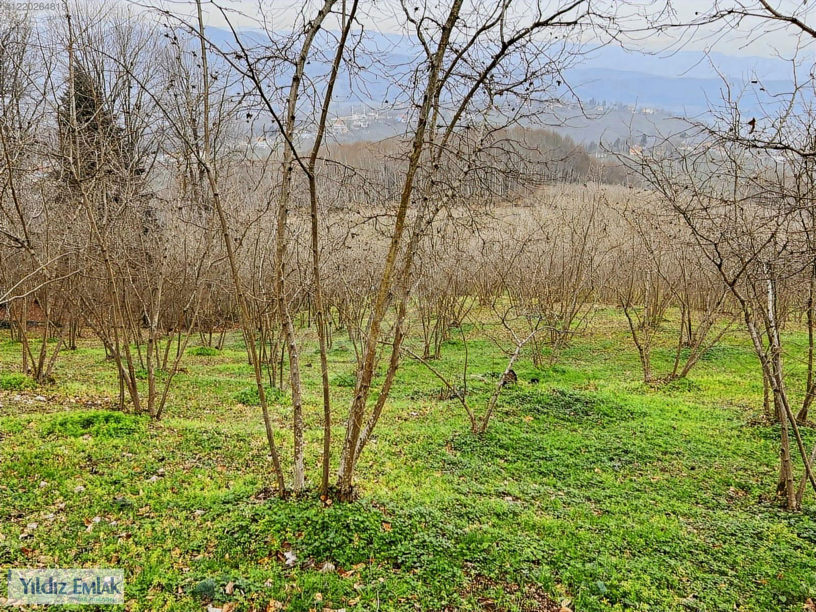 Satılık Arsa 7,000,000 TL