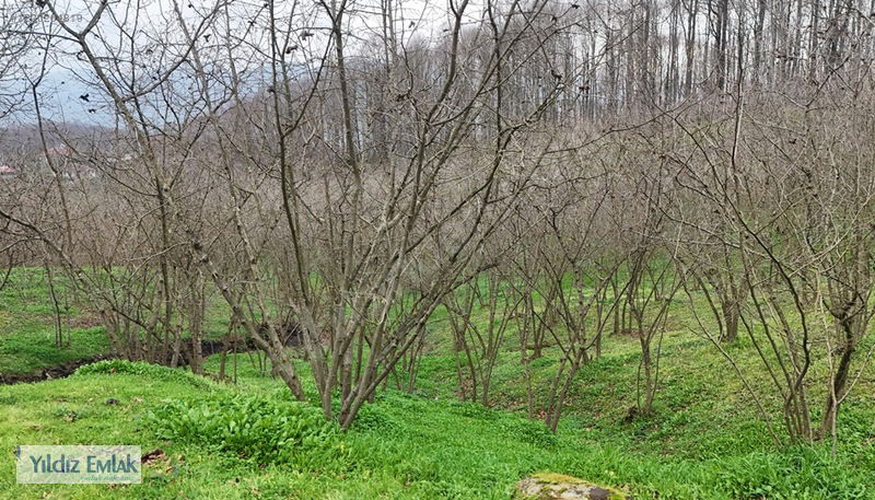 Satılık Arsa 7,000,000 TL
