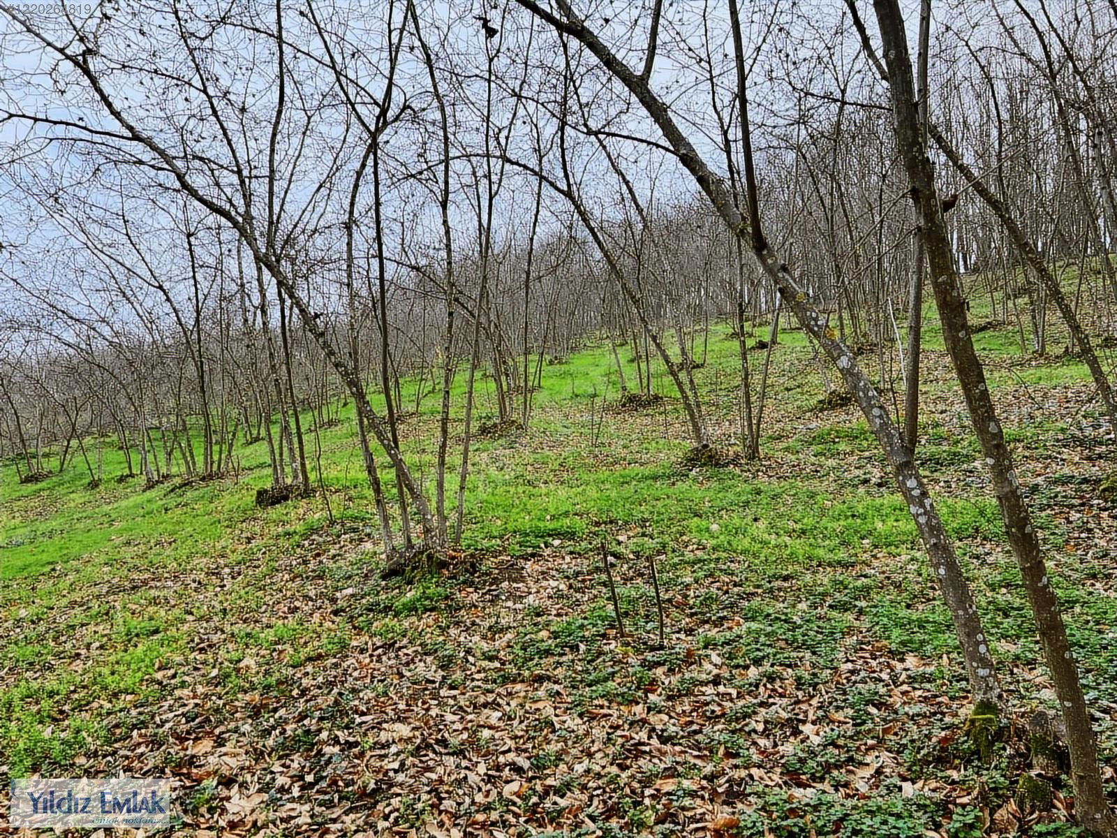 Satılık Arsa 7,000,000 TL