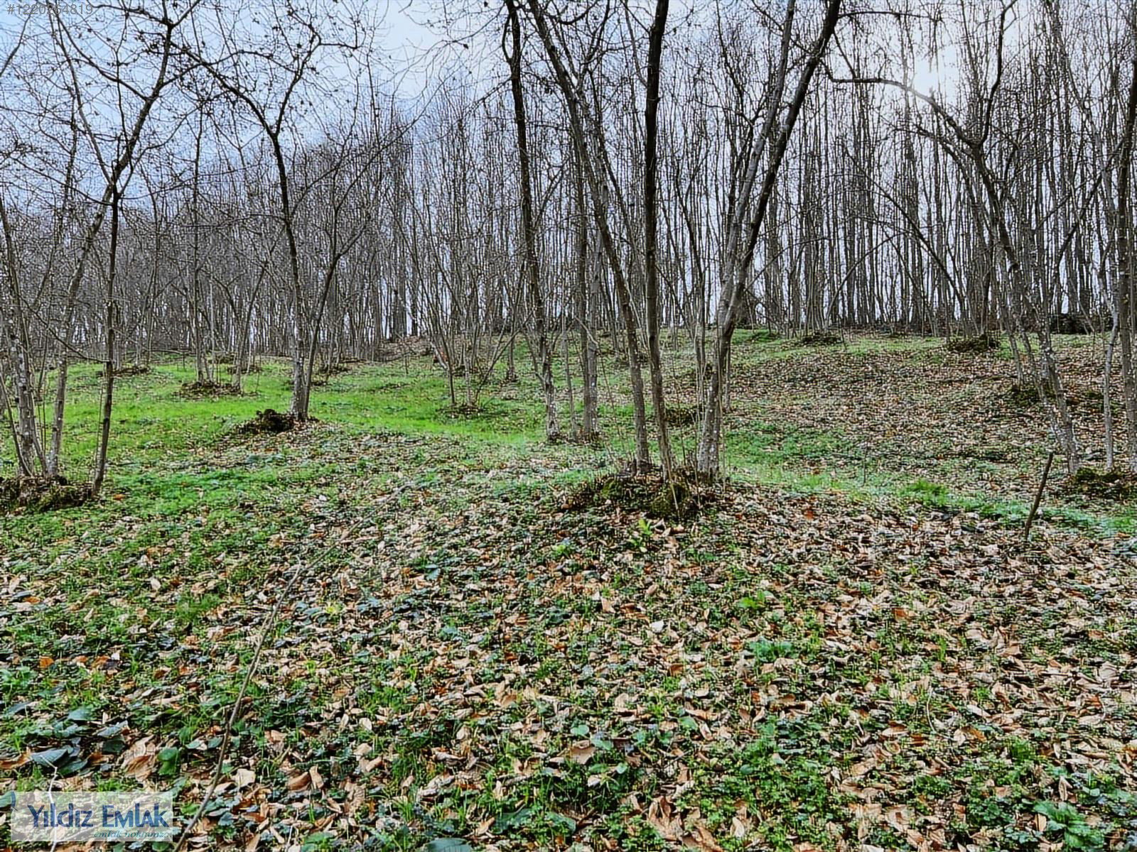 Satılık Arsa 7,000,000 TL