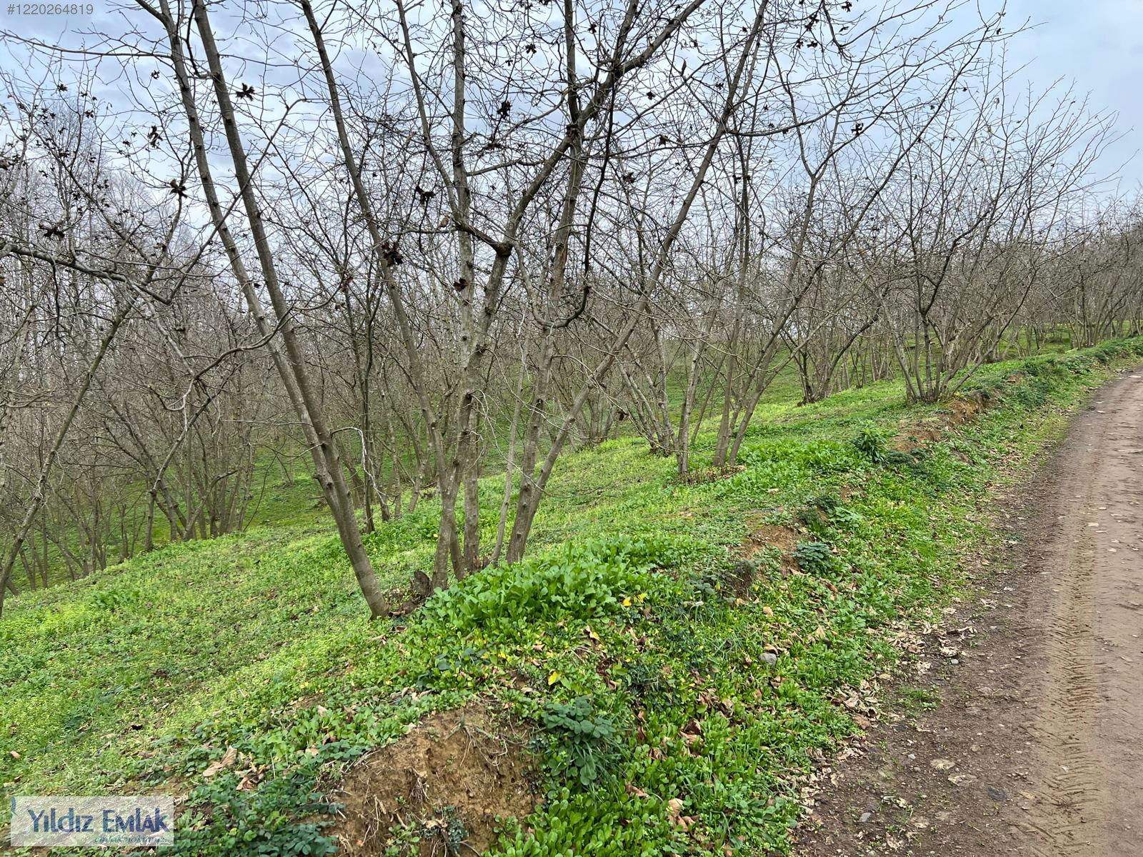 Satılık Arsa 7,000,000 TL