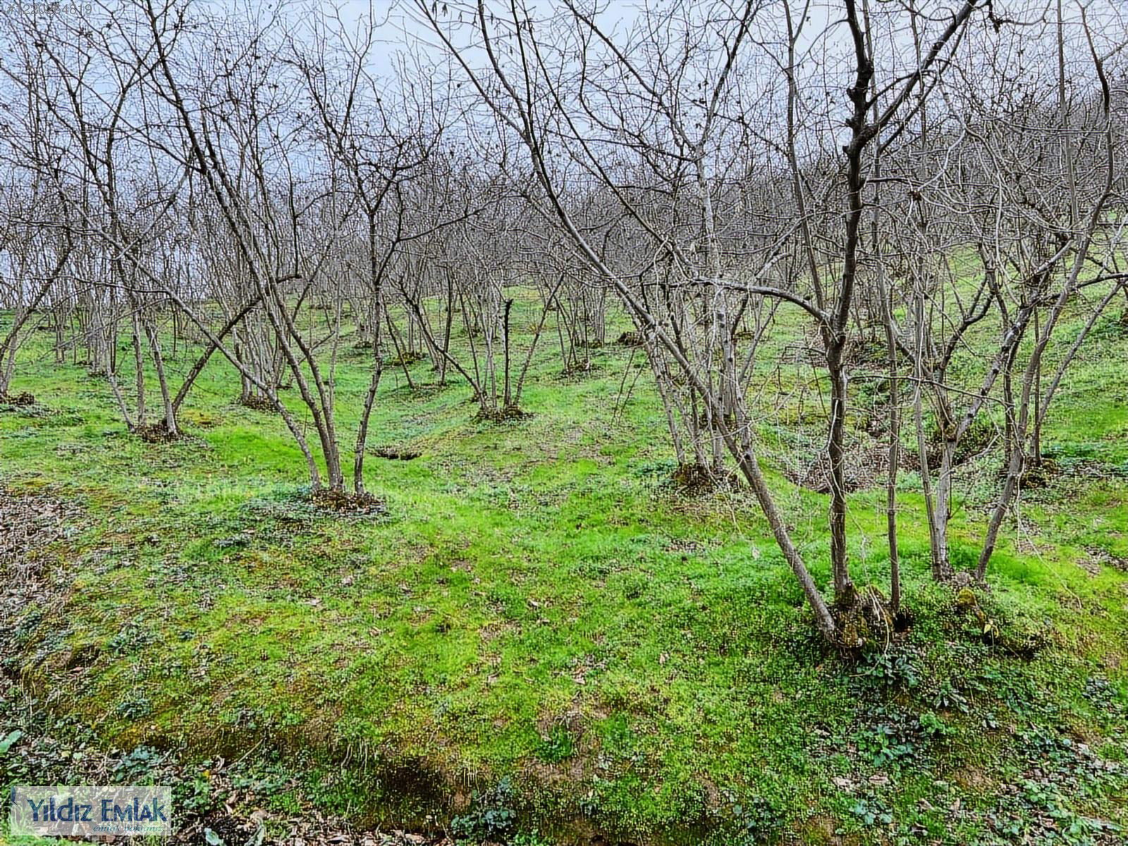 Satılık Arsa 7,000,000 TL