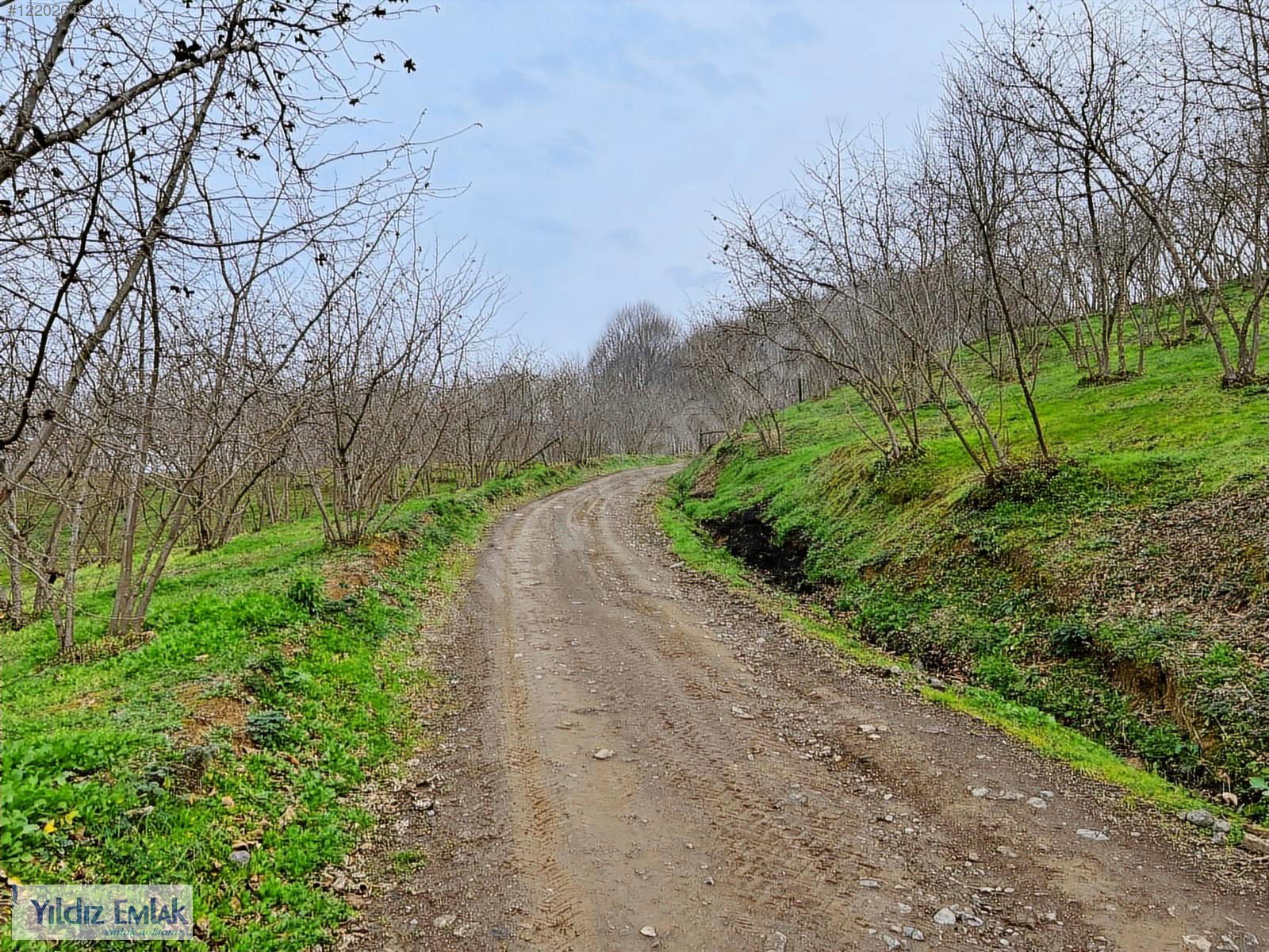 Satılık Arsa 7,000,000 TL
