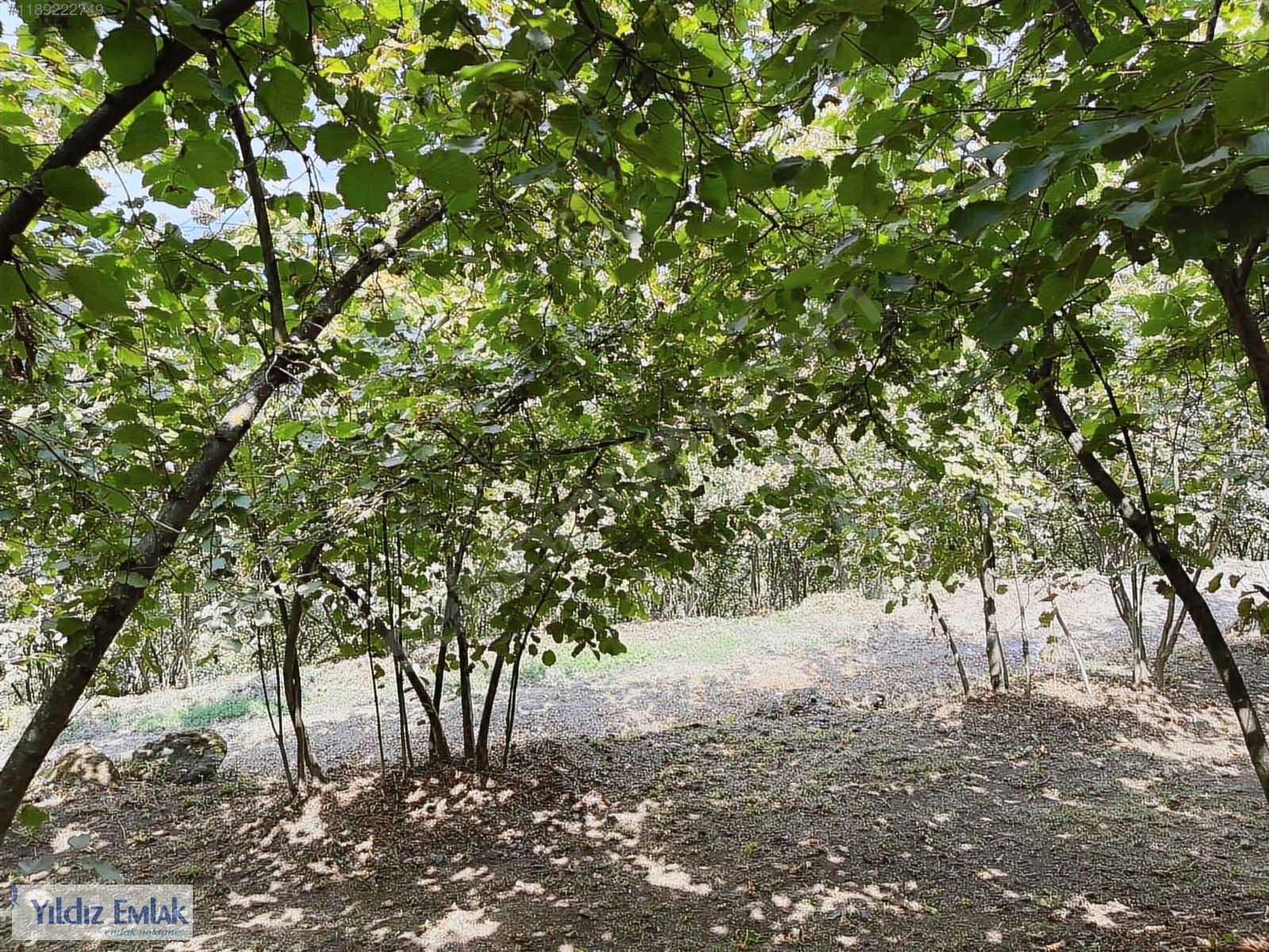 Satılık Arsa 3,650,000 TL