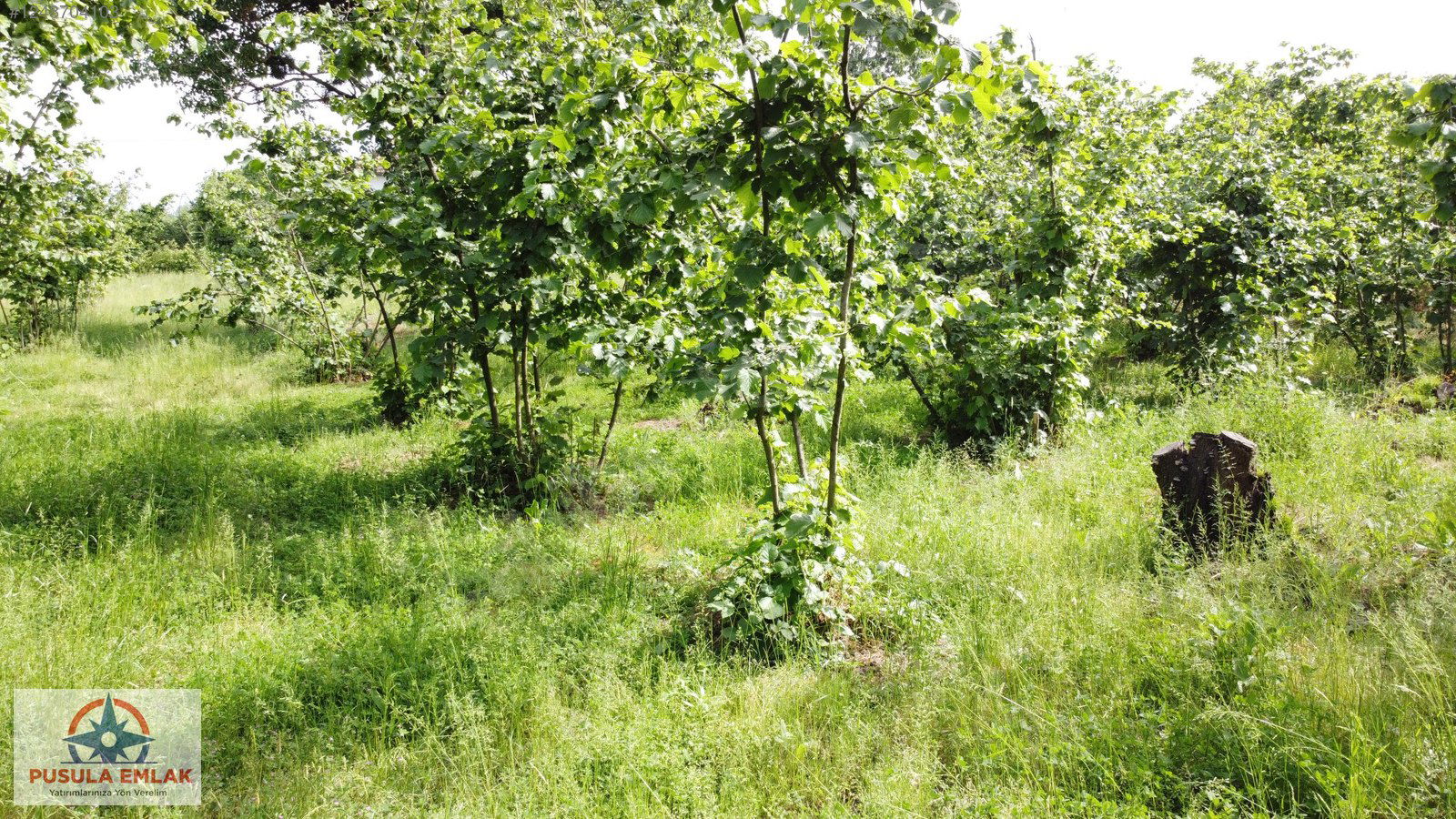Satılık Arsa 9,250,000 TL
