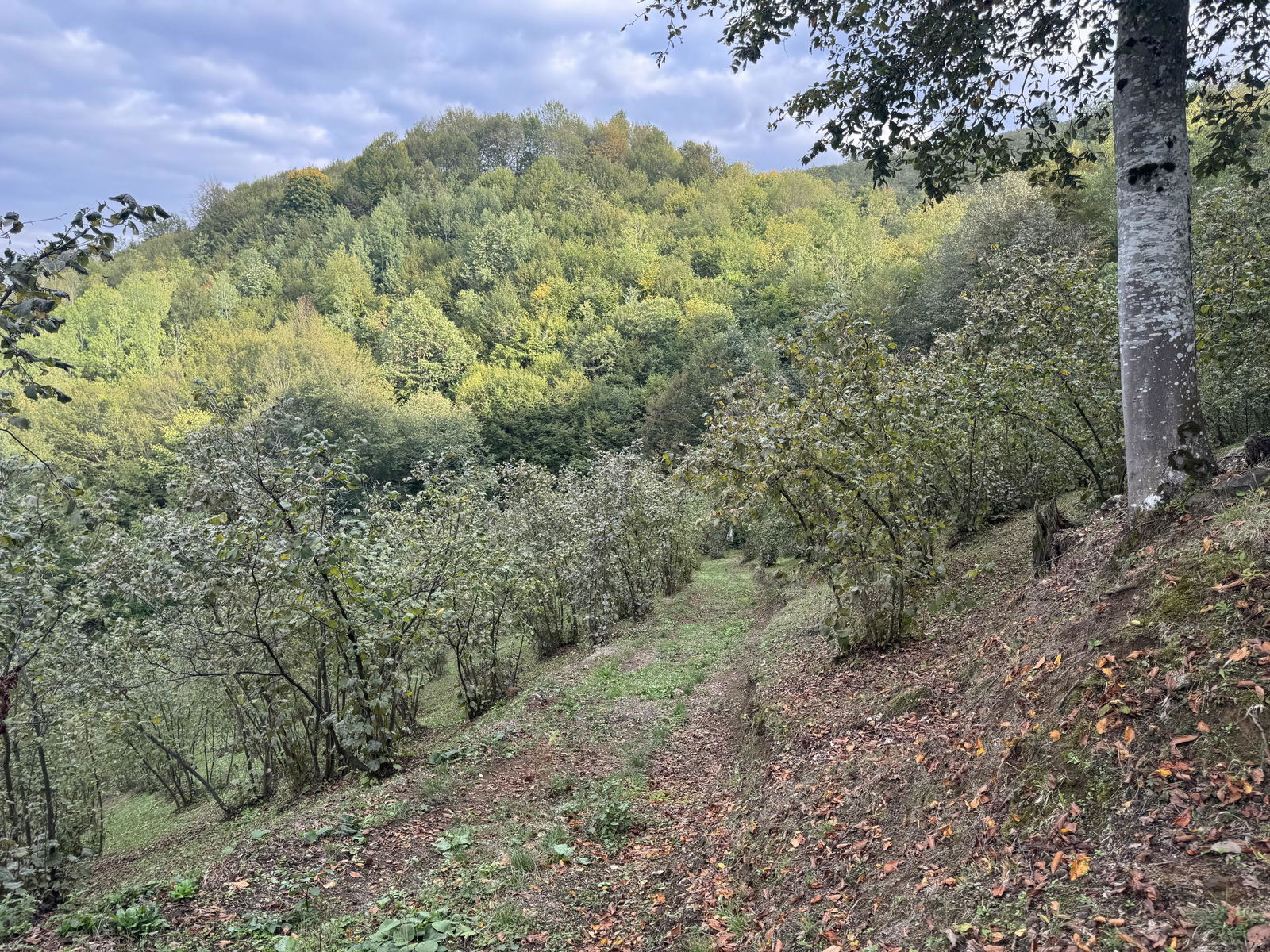 Satılık&nbsp;Arsa&nbsp;2,150,000&nbsp;TL