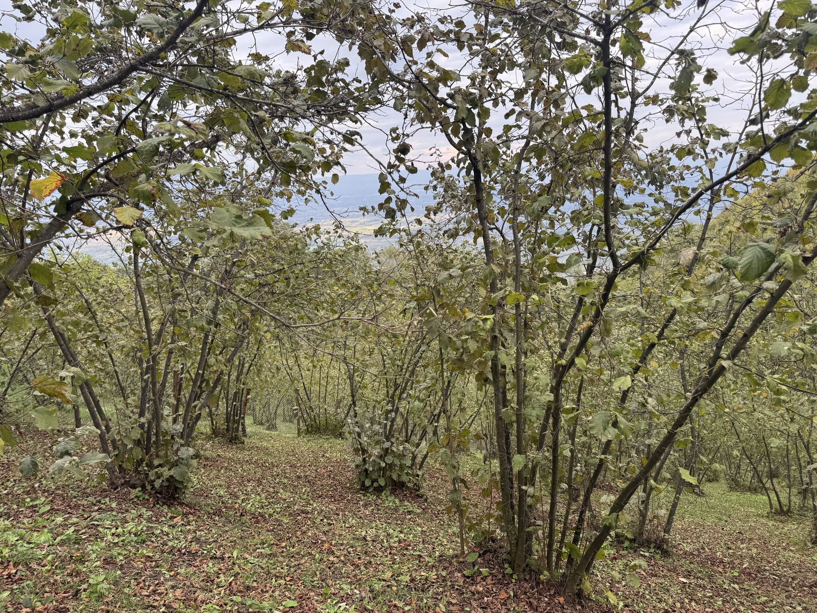 Satılık&nbsp;Arsa&nbsp;2,150,000&nbsp;TL