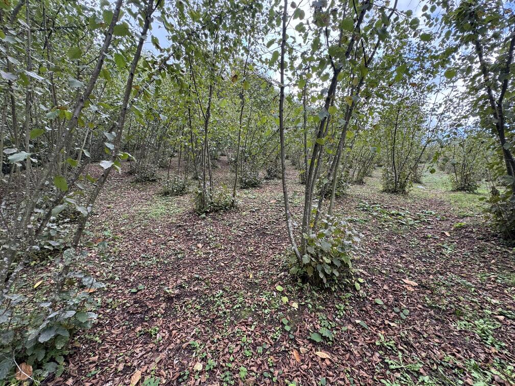 Satılık&nbsp;Arsa&nbsp;2,150,000&nbsp;TL