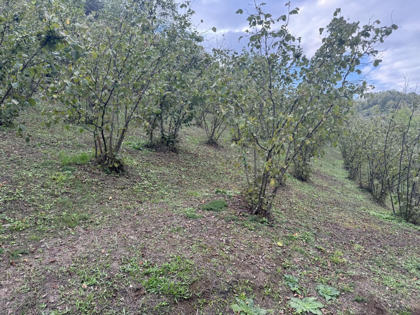 Satılık&nbsp;Arsa&nbsp;2,150,000&nbsp;TL