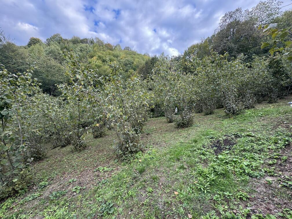 Satılık&nbsp;Arsa&nbsp;2,150,000&nbsp;TL