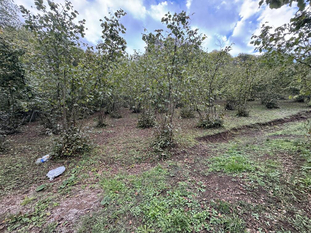 Satılık&nbsp;Arsa&nbsp;2,150,000&nbsp;TL