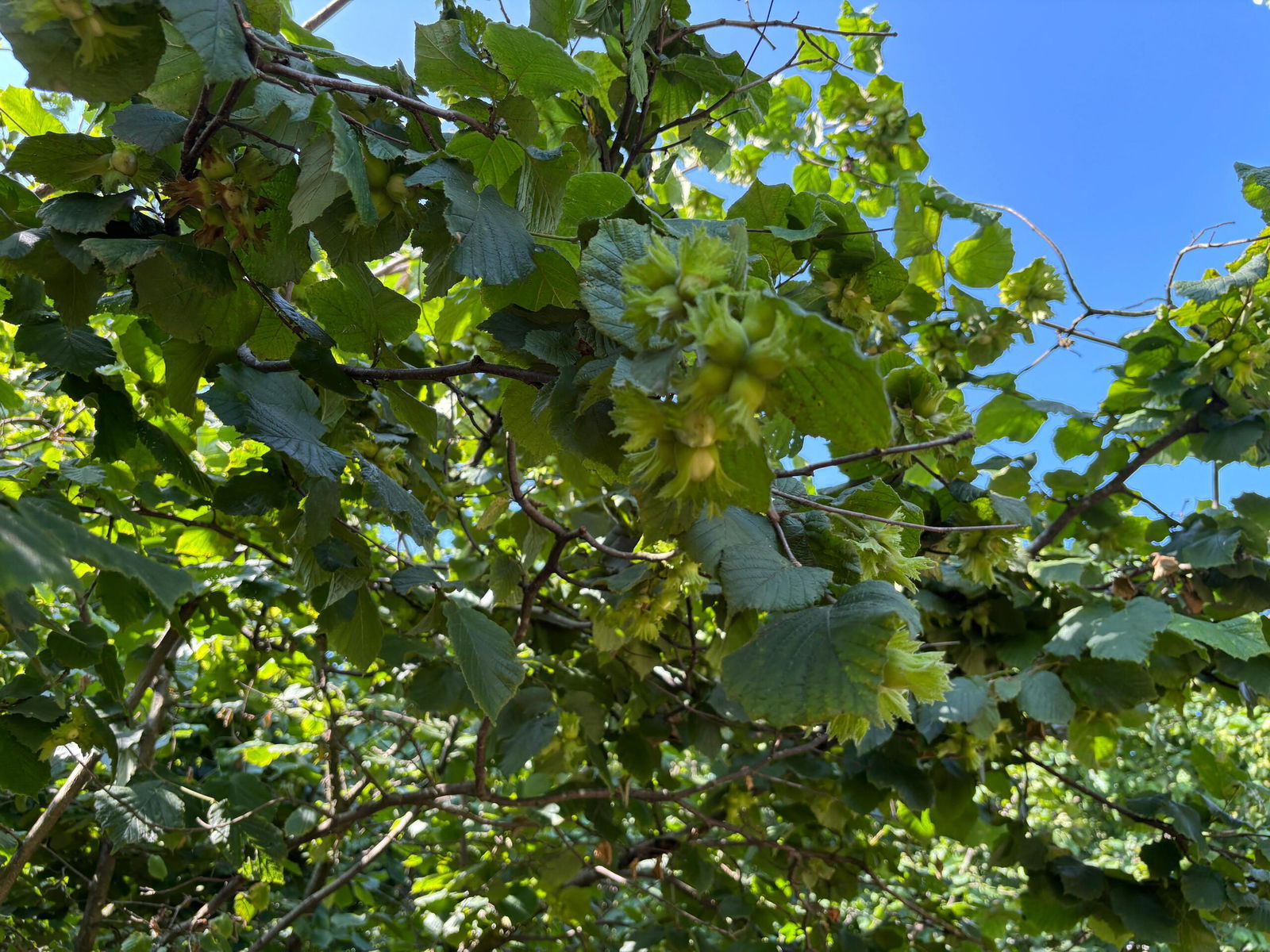 Satılık&nbsp;Arsa&nbsp;1,600,000&nbsp;TL