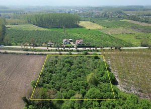 Düzce &nbsp;Satılık &nbsp;Arsa