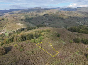 Düzce &nbsp;Satılık &nbsp;Arsa