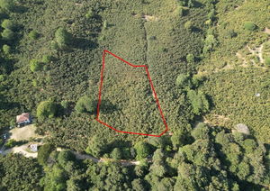 Düzce &nbsp;Satılık &nbsp;Arsa