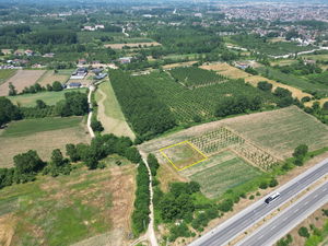 Düzce &nbsp;Satılık &nbsp;Arsa