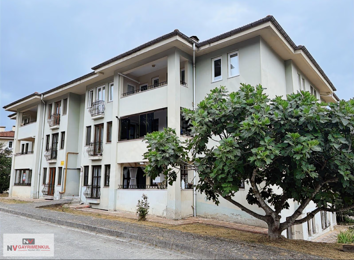 Düzce &nbsp;Kiralık &nbsp;Daire