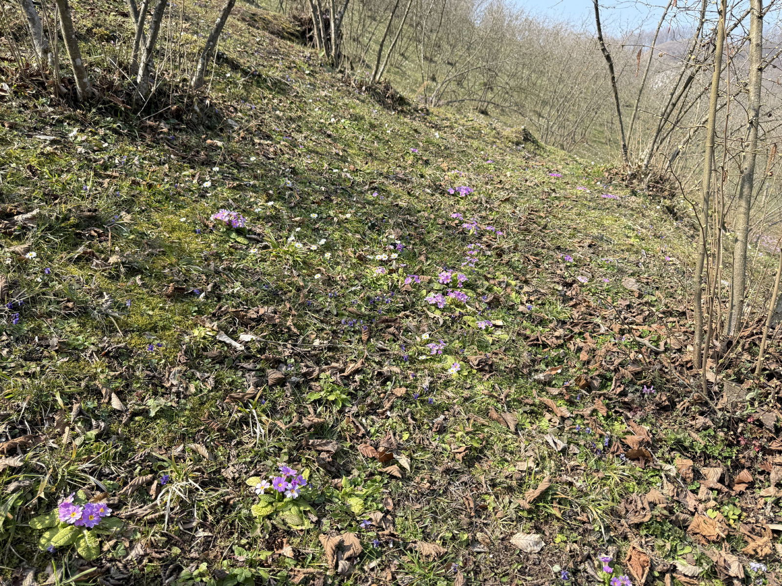 Satılık&nbsp;Arsa&nbsp;2,150,000&nbsp;TL