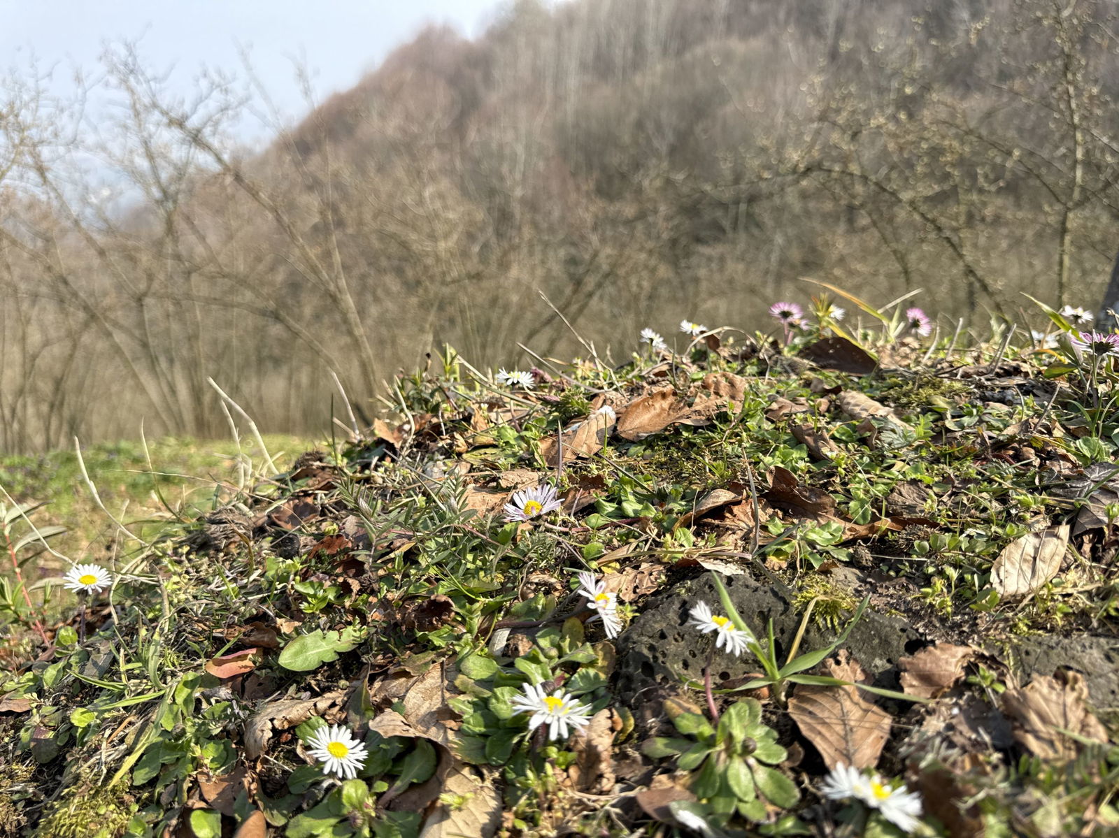 Satılık&nbsp;Arsa&nbsp;2,150,000&nbsp;TL